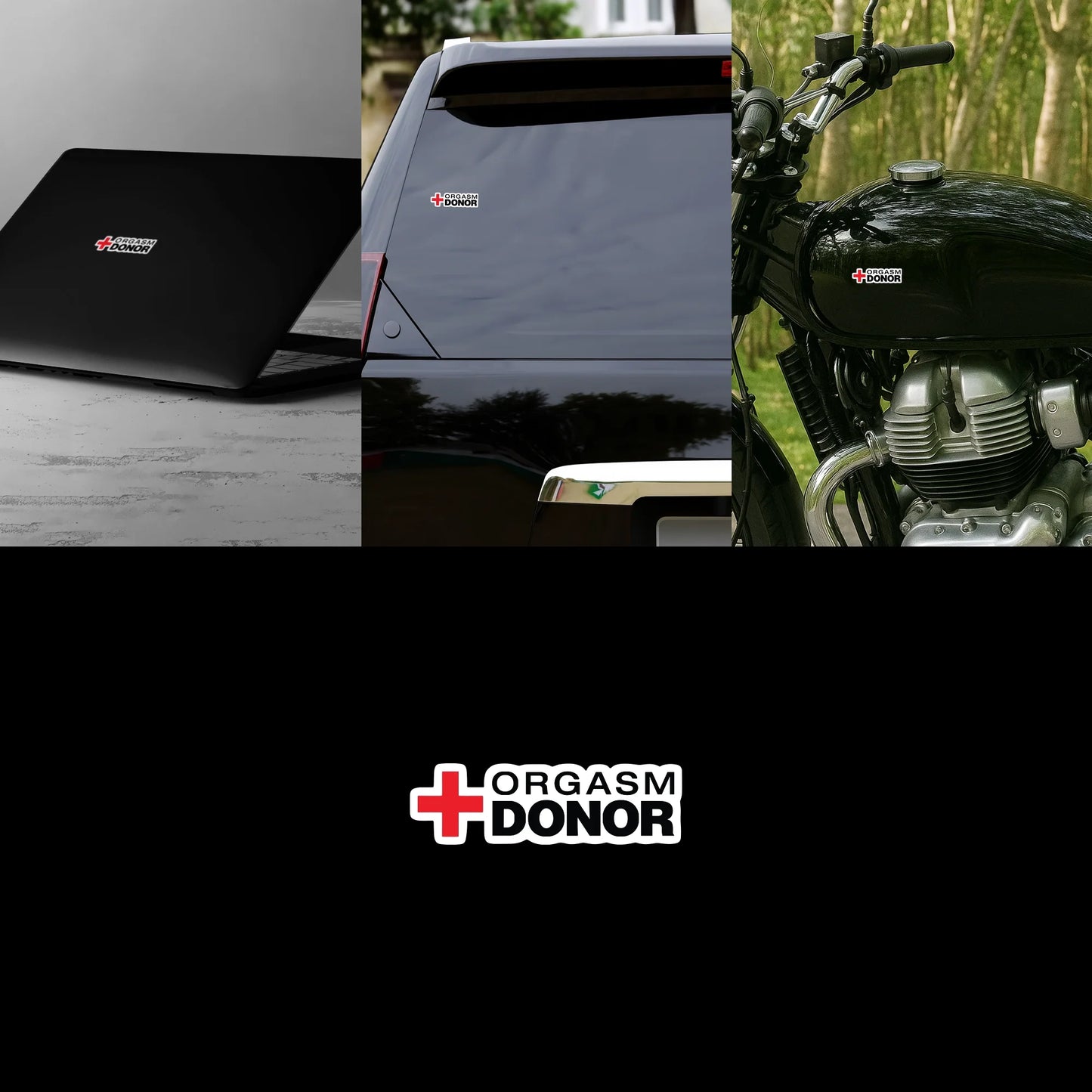 "Orgasm Donor" Funny Adult Sticker